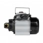 Pompa pentru transfer combustibil DIESEL 230V, 50l/min LXDP175